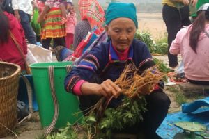 HỘI THẢO CÙNG KOL VŨ ĐỨC MẠNH – THS.BS VŨ VĂN SỰ