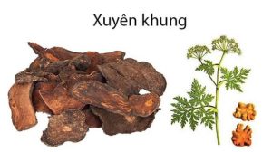 HỘI THẢO CÙNG KOL VŨ ĐỨC MẠNH – THS.BS VŨ VĂN SỰ