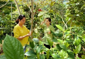 HỘI THẢO CÙNG KOL VŨ ĐỨC MẠNH – THS.BS VŨ VĂN SỰ