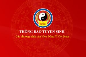 [TBTS] Các chương trình của Viện Đông Y Việt Nam 2025 – 2026